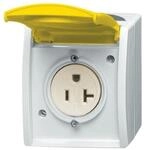 Busch-Jaeger Steckdose 3016 EWN-53 2CKA002124A0024