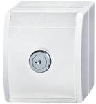Busch-Jaeger SCHUKO-Steckdose al/ws 20 EWSL-54 2CKA002083A0832