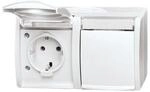 Busch-Jaeger Steckdose 2fach 20/2 EWN-54 2CKA002084A0715