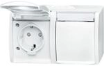 Busch-Jaeger Steckdose 20/2 EBW-54 2CKA002084A0723