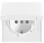 Busch-Jaeger Schuko-Steckdoseneinsatz 20 EUGKB-34-101 2CKA002064A0294