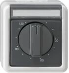 Gira Zeitschalter gr 032130