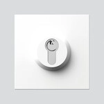 Siedle&S&ouml;hne Schloss-Modul SM 611-01 W 200019404-01
