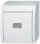 Busch-Jaeger Taster aws 2621 W-54-206 2CKA001484A0377