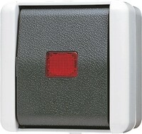 Jung Wipp-Kontrollschalter 806 KOW 806KOW