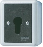 Jung Schl&uuml;sselschalter 833.18 G 833.18G