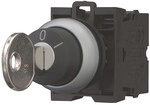 Eaton Schl&uuml;sseltaste M22-WRS/K11 216517