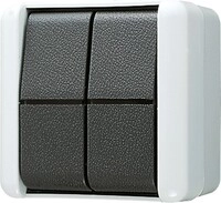 Jung Doppel-Taster 10AX 250V 839 W 839W