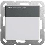 Gira Sensotec LED m.Fernbedien. 236828