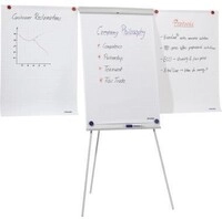 Franken Flipchart Standard X-tra Line Plus EL-FC22 105x68cm grau Franken Plastik