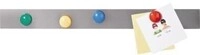 Franken Magnethaftleiste ST1450 5x50cm sk Edelstahl 10St. Franken Plastik