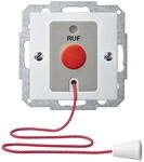 Merten Ruftastereinsatz pws/gl MEG4850-0319
