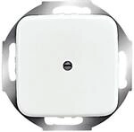 Busch-Jaeger Zentralscheibe aws 2527-214 2CKA001710A0110