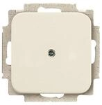 Busch-Jaeger Blindzentralscheibe ws 2538-212 2CKA001715A0218