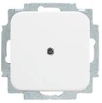 Busch-Jaeger Blindzentralscheibe aws 2538-214 2CKA001715A0275