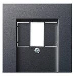 Gira Zentralplatte TAE anth 027628