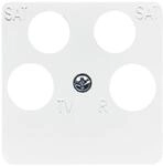 Busch-Jaeger Zentralscheibe aws 1743/10-04-214 2CKA001753A8659