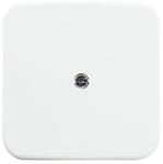 Busch-Jaeger Zentralscheibe aws VDo 2536-214 2CKA001724A0921