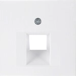 Berker Zentralst&uuml;ck pws/gl 14078989