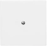 Busch-Jaeger Blindzentralscheibe aws 2138-34 2CKA001710A1852