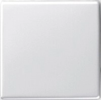 Gira Wippe Wechselsch. rws-gl 029603
