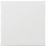 Gira Blindabdeckung rws-gl 0268112