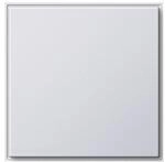 Gira Blindabdeckung rws 026866
