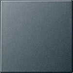 Gira Wippe Wechselsch. anth 029628