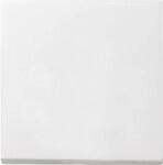 Gira Wippe Wechselsch. rws 029627