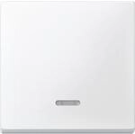 Merten Wippe Kontr.Fenster pws 431019