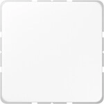Jung Blind-Abdeckung aws CD 594-0 WW CD594-0WW