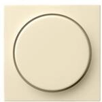 Gira Abdeckung cws-gl 065001