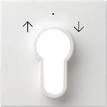 Gira Zentralplatte rws-gl 066403