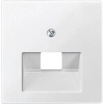 Merten Zentralplatte pws 298319