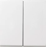 Gira Wippe Seriensch. rws-gl 029503