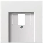 Gira Zentralplatte TAE rws-gl 0276112