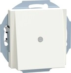 Merten Zentralplatte pws/gl 296319