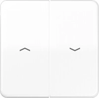 Jung Wippe Symbole aws CD 595 P WW CD595PWW