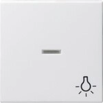 Gira Wippe Licht rws 067427