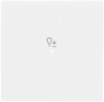 Busch-Jaeger Wippe 1-f Symbol Dimmer 6234-10-84 2CKA006220A0046