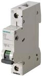 Siemens Dig.Industr. LS-Schalter 5SL6110-6
