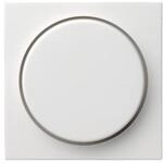 Gira Abdeckung rws-gl 065003