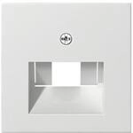 Gira Zentralplatte UAE/IAE rws 027027