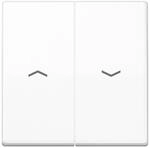 Jung Wippe Symbole aws AS 591-5 PBF WW AS591-5PBFWW