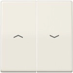 Jung Wippe Symbole ws ABAS 591-5 P ABAS591-5P