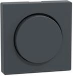 Merten Zentralplatte anth MEG5250-0414
