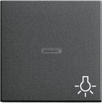 Gira Wippe Licht anth 067428