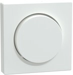 Merten Zentralplatte aws/gl MEG5250-0325