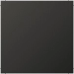 Jung Blind-Abdeckung anth AL 2994 B AN AL2994BAN