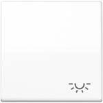 Jung Wippe Symbol LICHT aws AS 591 L WW AS591LWW